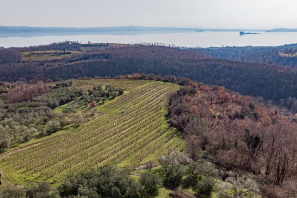 Vini Pacchiarotti 22 febbraio 2021 Drone 3 LD Vini Pacchiarotti 22 febbraio 2021 Drone 3 LD